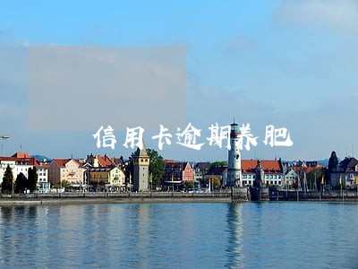 信用卡逾期养肥 信用卡逾期养肥