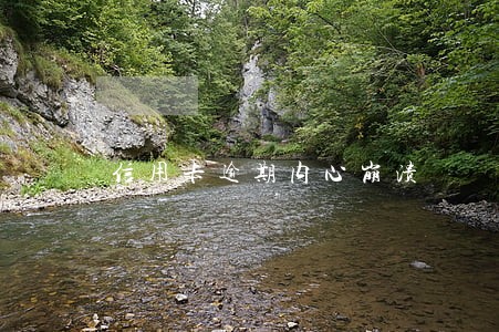 信用卡逾期内心崩溃 信用卡逾期内心崩溃
