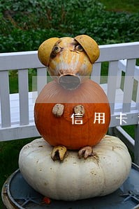 信用卡逾期内部划扣 信用卡逾期内部划扣