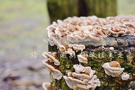 信用卡逾期内部结案是怎么回事