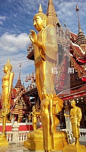 信用卡逾期内部能搞定吗