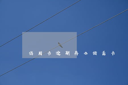 信用卡逾期再办储蓄卡 信用卡逾期再办储蓄卡