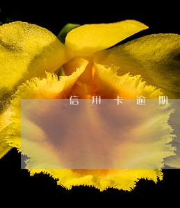信用卡逾期再去银行办理业务