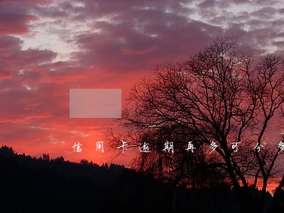 信用卡逾期再多可分多少期 信用卡逾期再多可分多少期