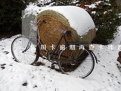信用卡逾期再查卡作废是怎么回事 信用卡逾期再查卡作废是怎么回事