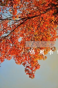 信用卡逾期再联系到本人 信用卡逾期再联系到本人