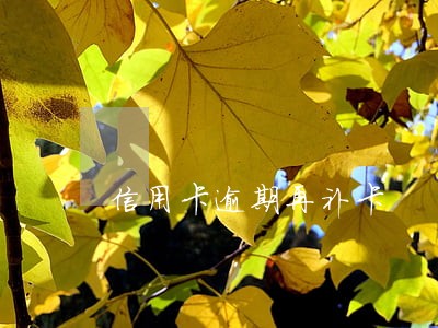 信用卡逾期再补卡 信用卡逾期再补卡