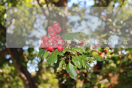 信用卡逾期再还最低还款可以吗