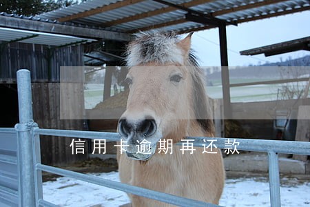 信用卡逾期再还款 信用卡逾期再还款