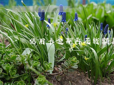 信用卡逾期再还钱额度能否提高 信用卡逾期再还钱额度能否提高