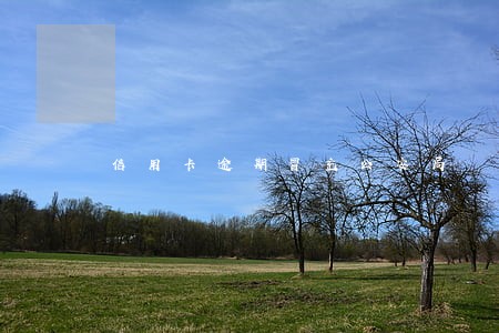 信用卡逾期冒充公安局 信用卡逾期冒充公安局