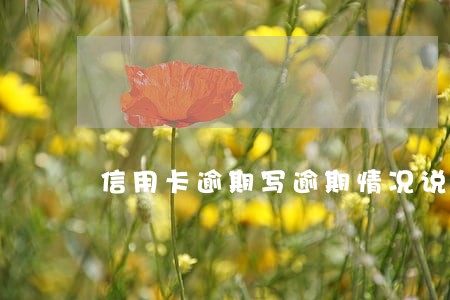 信用卡逾期写逾期情况说明 信用卡逾期写逾期情况说明
