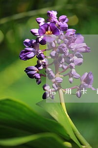 信用卡逾期农行信用币 信用卡逾期农行信用币