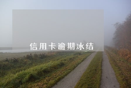 信用卡逾期冰结