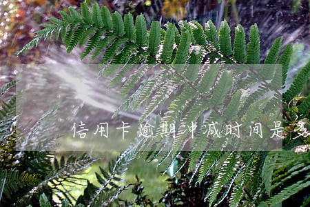 信用卡逾期冲减时间是多久
