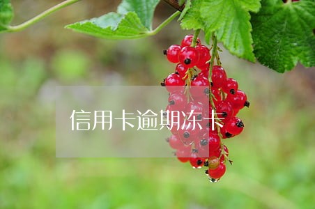 信用卡逾期冻卡 信用卡逾期冻卡