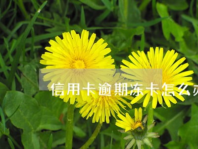 信用卡逾期冻卡怎么办 信用卡逾期冻卡怎么办