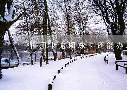 信用卡逾期冻卡还能办理吗 信用卡逾期冻卡还能办理吗