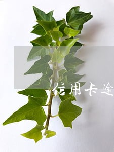 信用卡逾期冻结一次还清