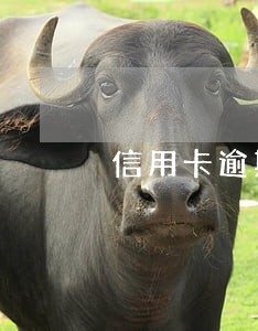 信用卡逾期冻结不还会怎样 信用卡逾期冻结不还会怎样