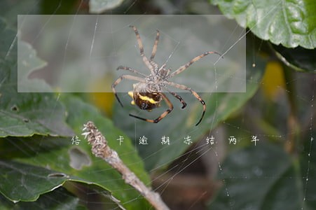 信用卡逾期冻结两年 信用卡逾期冻结两年
