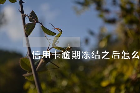 信用卡逾期冻结之后怎么激活