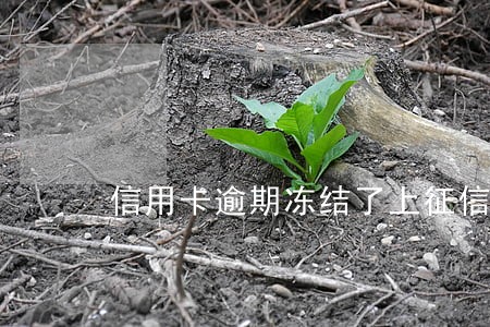 信用卡逾期冻结了上征信吗 信用卡逾期冻结了上征信吗