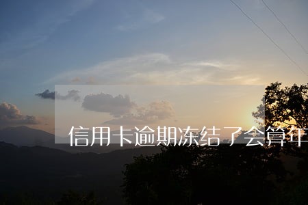 信用卡逾期冻结了会算年费嘛 信用卡逾期冻结了会算年费嘛