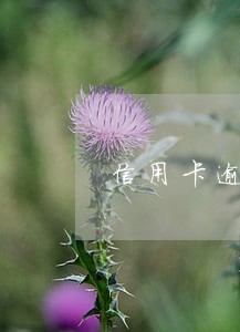 信用卡逾期冻结了可以协商吗