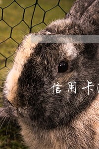 信用卡逾期冻结了怎么解封6 信用卡逾期冻结了怎么解封6
