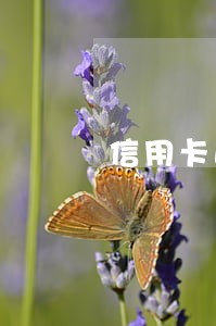 信用卡逾期冻结了积分能用吗 信用卡逾期冻结了积分能用吗