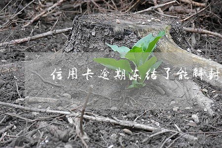 信用卡逾期冻结了能解封吗 信用卡逾期冻结了能解封吗
