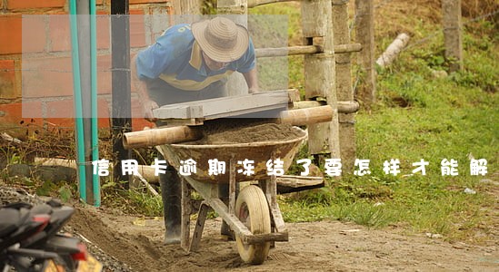 信用卡逾期冻结了要怎样才能解冻 信用卡逾期冻结了要怎样才能解冻