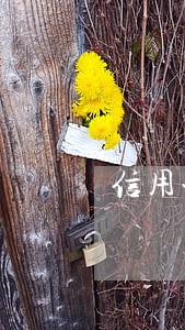 信用卡逾期冻结了还完还能用么