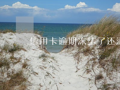 信用卡逾期冻结了还清了还能用