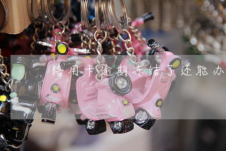 信用卡逾期冻结了还能办信用卡吗 信用卡逾期冻结了还能办信用卡吗