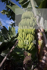 信用卡逾期冻结了还能开卡吗 信用卡逾期冻结了还能开卡吗