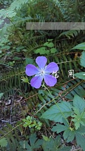信用卡逾期冻结了钱还用还吗