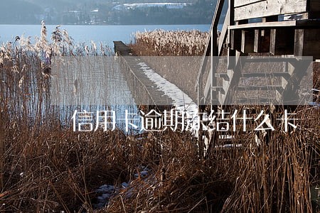 信用卡逾期冻结什么卡 信用卡逾期冻结什么卡