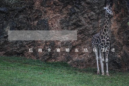 信用卡逾期冻结以后还 信用卡逾期冻结以后还