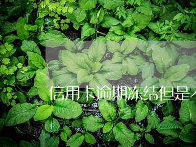 信用卡逾期冻结但是不涨利息