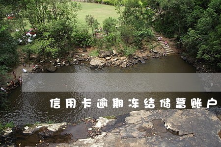 信用卡逾期冻结储蓄账户