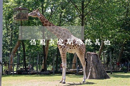 信用卡逾期冻结其他