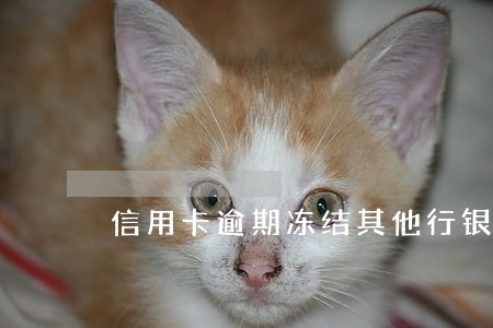 信用卡逾期冻结其他行银行卡 信用卡逾期冻结其他行银行卡
