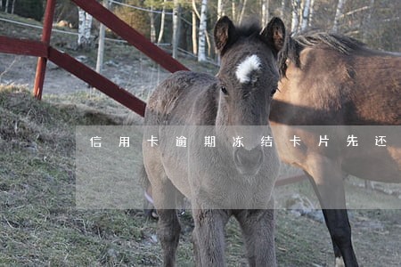 信用卡逾期冻结卡片先还一点行吗 信用卡逾期冻结卡片先还一点行吗