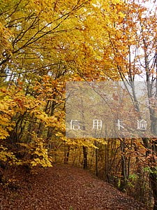 信用卡逾期冻结可以协商慢慢还吗 信用卡逾期冻结可以协商慢慢还吗