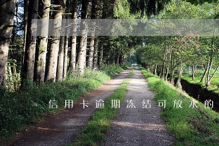 信用卡逾期冻结可放水的平台 信用卡逾期冻结可放水的平台