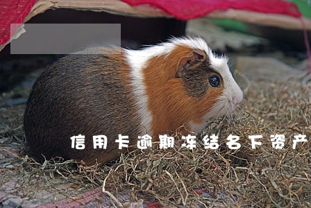 信用卡逾期冻结名下资产