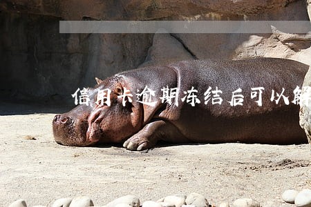 信用卡逾期冻结后可以解冻吗 信用卡逾期冻结后可以解冻吗