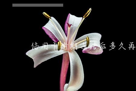 信用卡逾期冻结后多久再使用